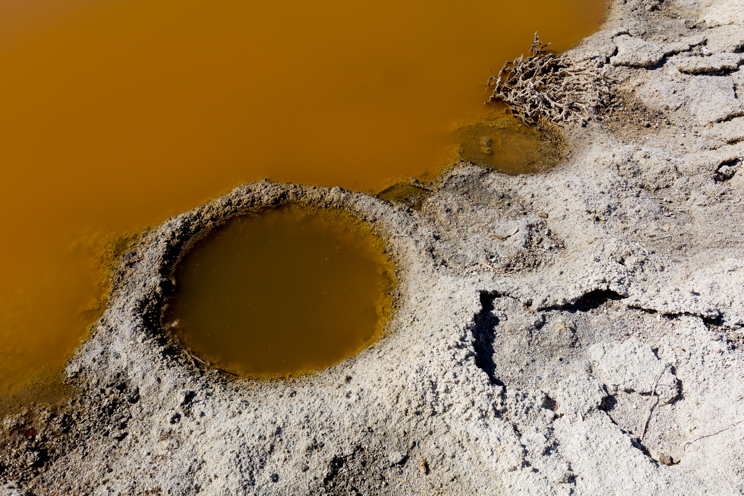 William_Short_Photography_Salton_Sea_2017_103