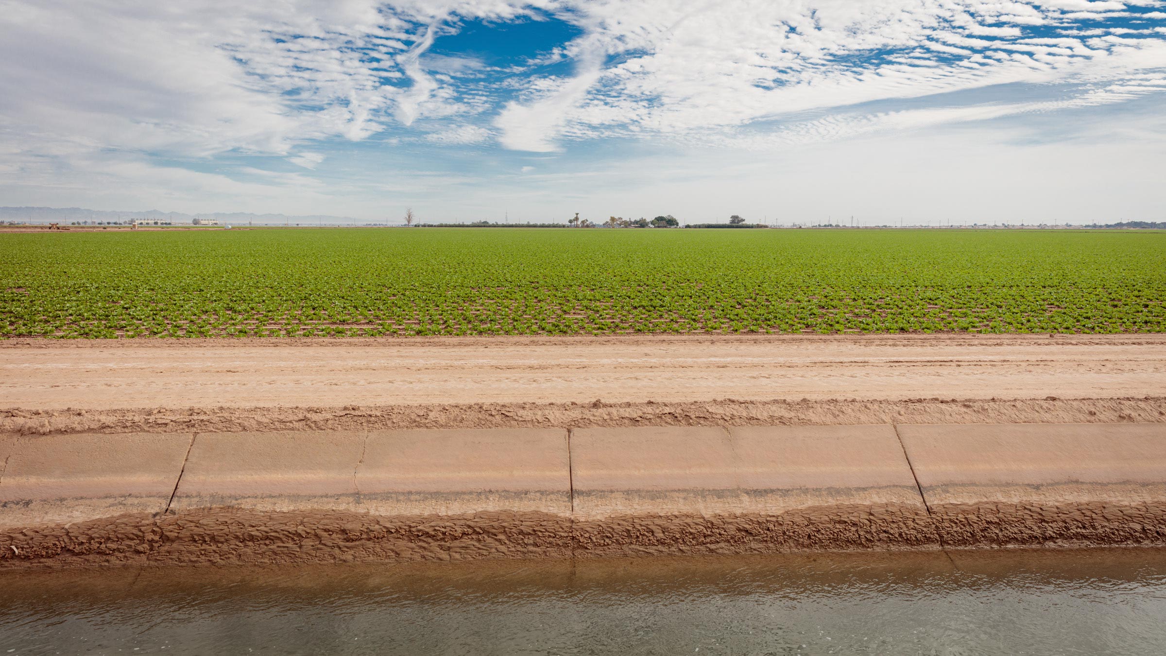 William_Short_Salton_Sea_171111_379