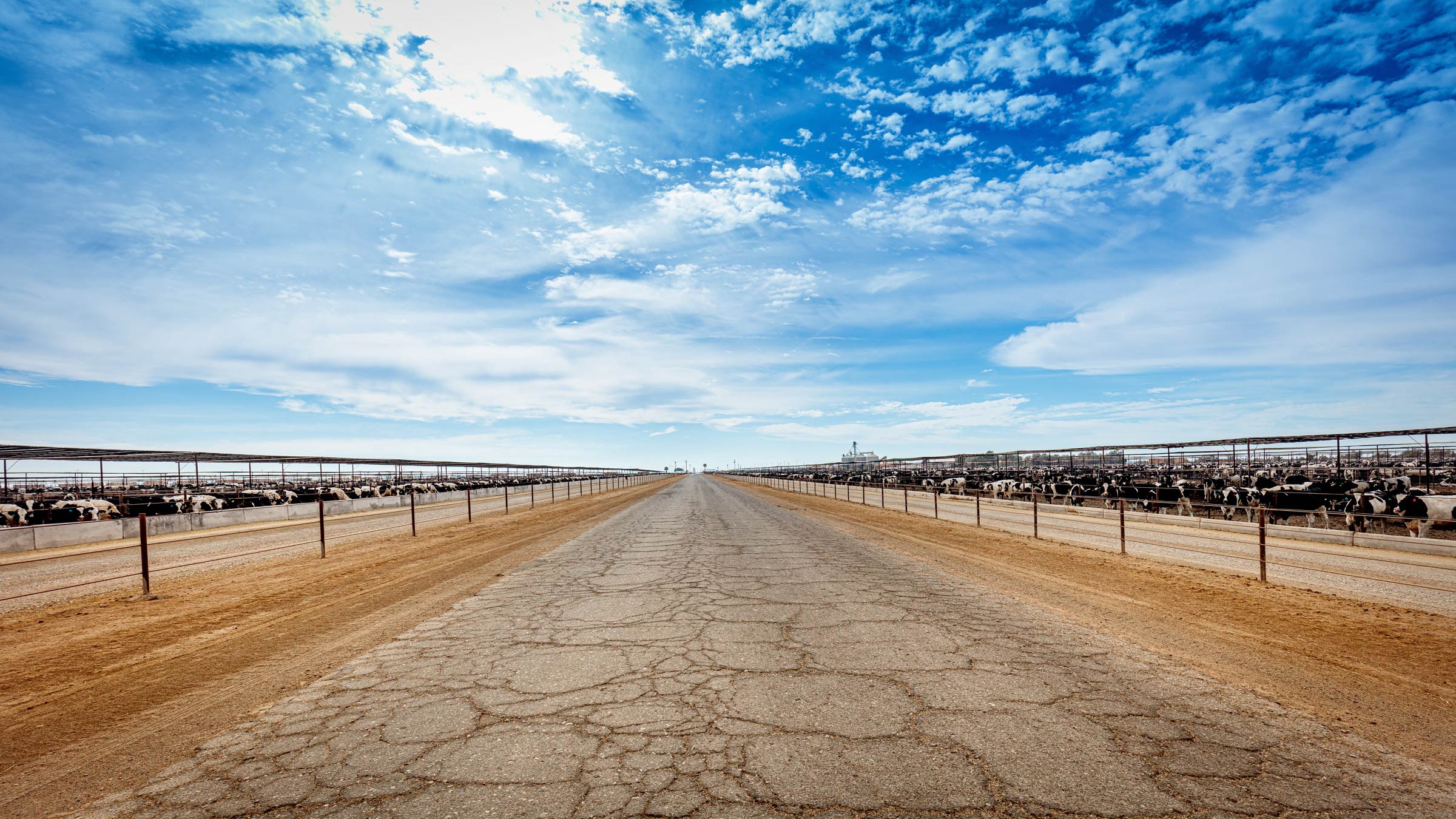 William_Short_Salton_Sea_171111_446