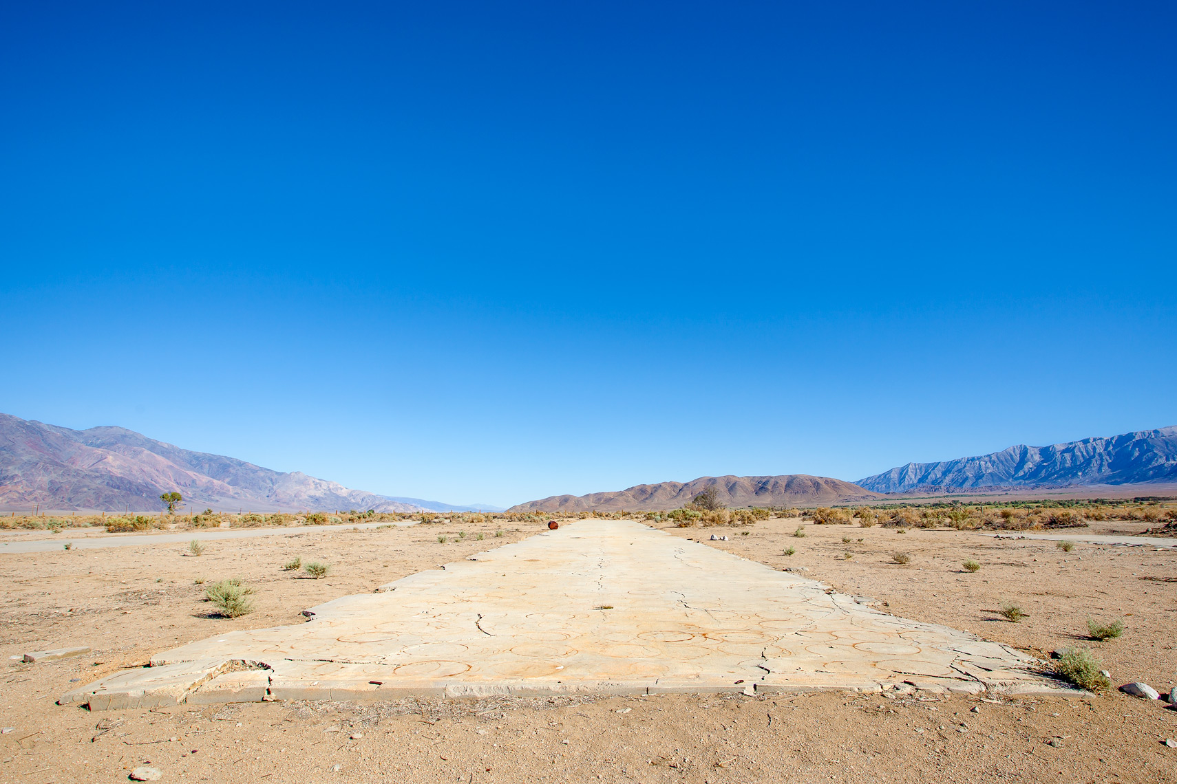 (c)-2013_williamshort_manzanar_048_web